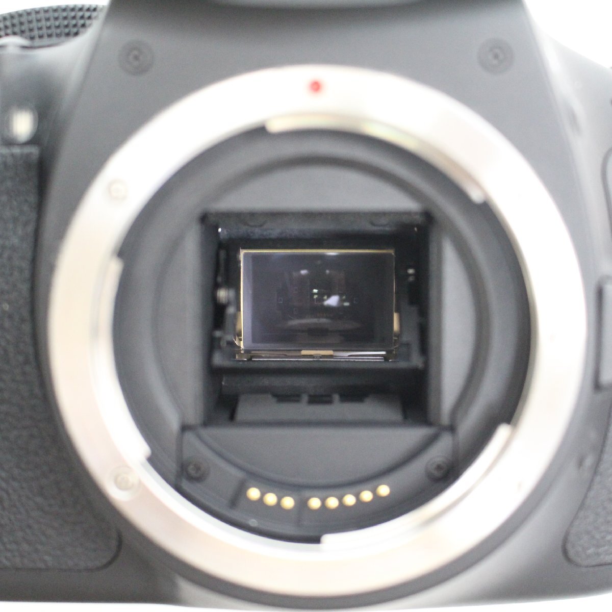 506)【1円スタート♪】Canon デジタル一眼レフカメラ EOS Kiss X5 レンズ EF-S 18-55ｍｍ F3.5-5.6 IS Ⅱキャノンの画像9