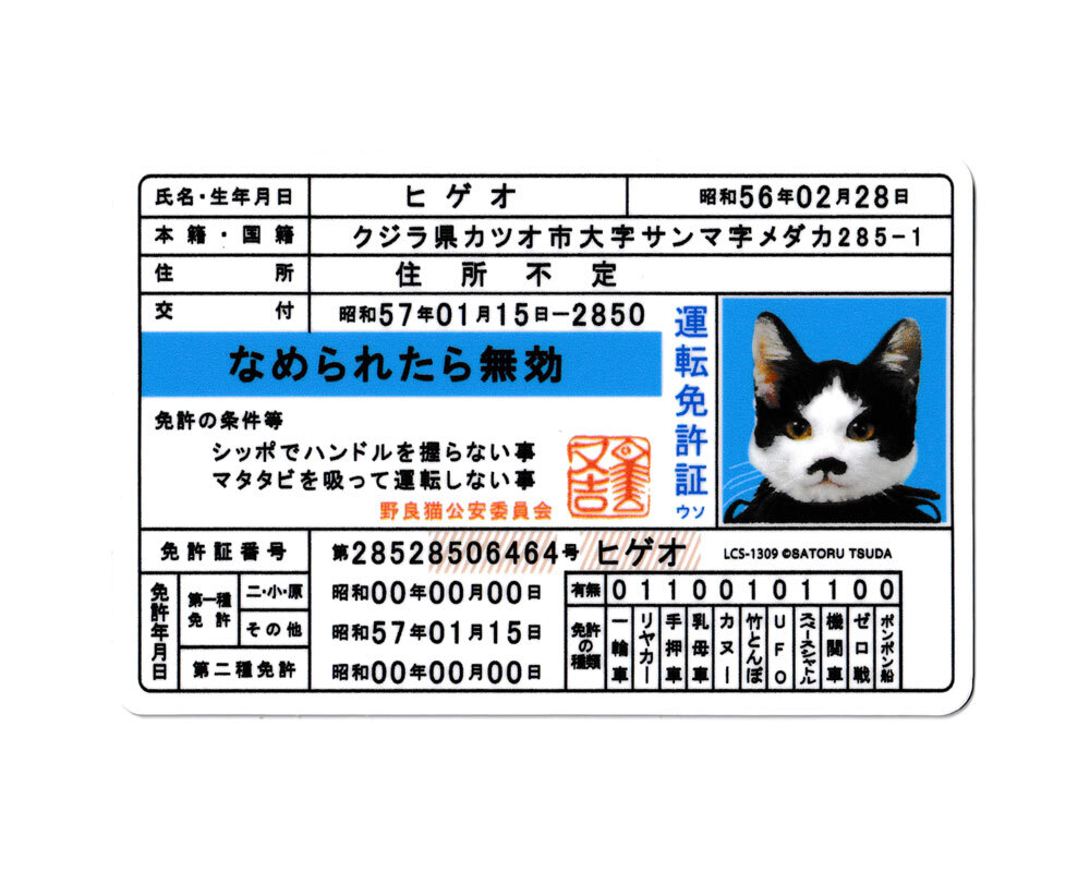 なめ猫 ステッカー かわいい レトロ 昭和 懐かしい 猫 グッズ 免許証03 ヒゲオ_画像1