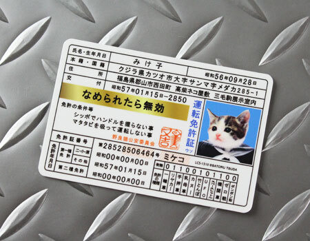 なめ猫 ステッカー かわいい レトロ 昭和 懐かしい 猫 グッズ 免許証04 みけ子_画像2