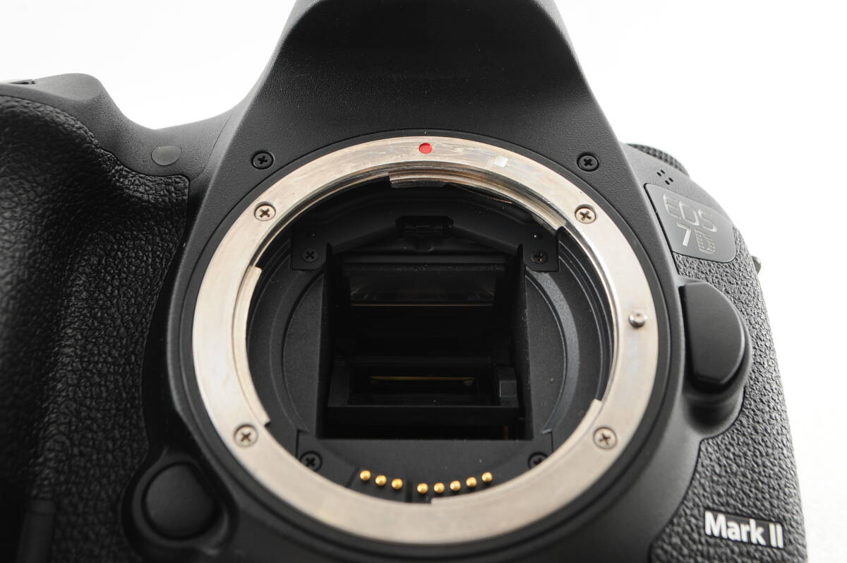 ★極美品★ Canon キヤノン EOS 7D MarkⅡマーク2 箱付き バッテリーグリップ付きの画像10