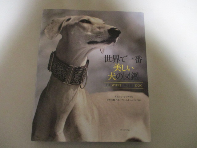 (お得！送料無料) MF085/ 世界で一番美しい犬の図鑑 (定価4180円) 80種を超える犬種それぞれの歴史に隠された物語を美しい写真とともに紹介_画像1
