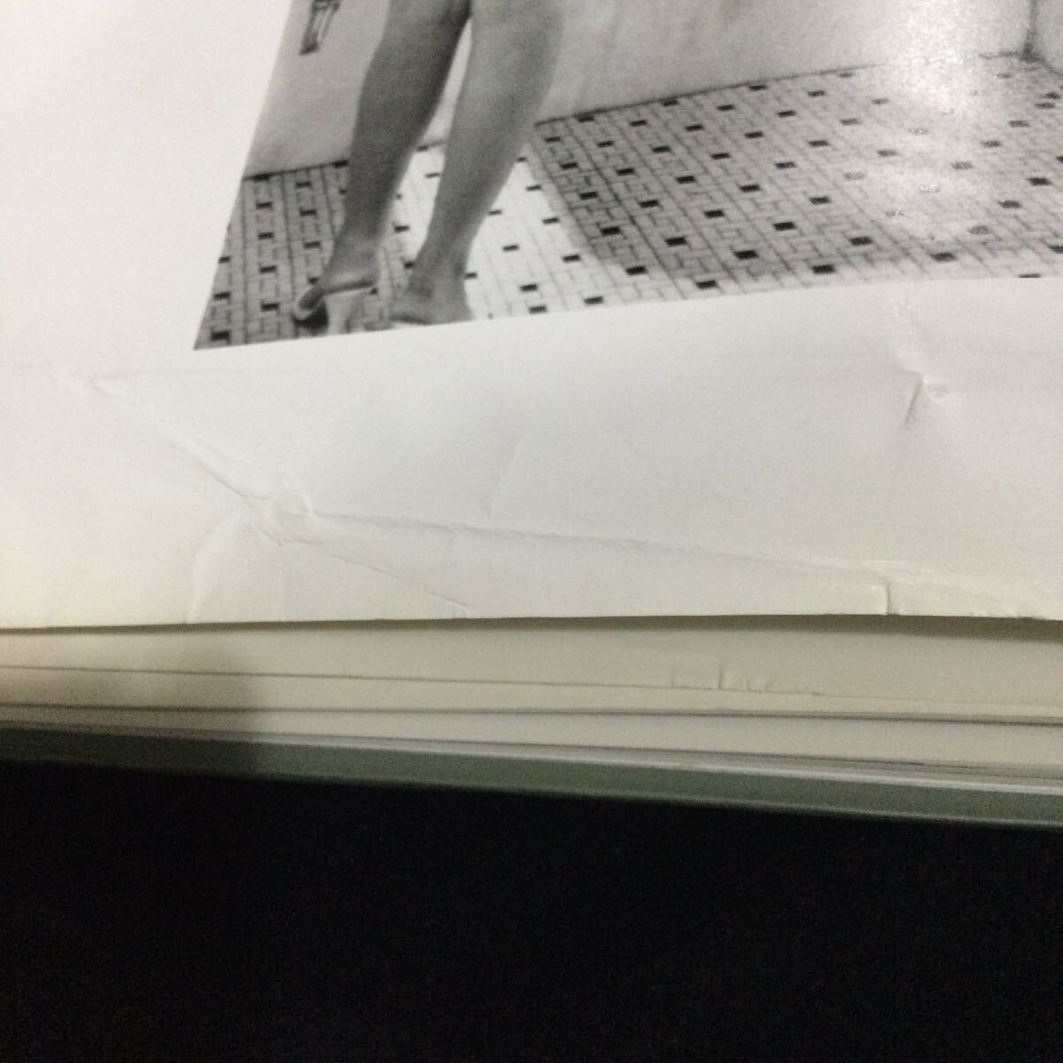 マリリンモンロー 写真集 洋書 Marilyn Monroe イブアーノルド 本 - アート写真 マリリンモンロー 写真集 洋書 Marilyn Monroe イブアーノルド 本 - アート写真