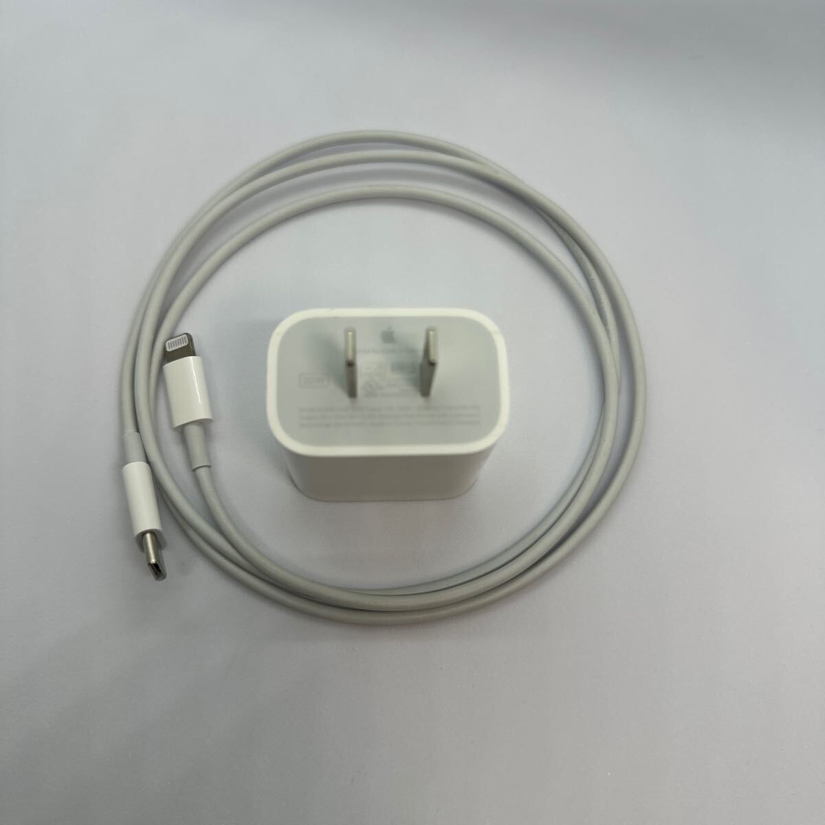 20W USB-C電源アダプタとライトニングケーブル 充電器 iPad 付属品 Apple Lightning充電ケーブル _画像1