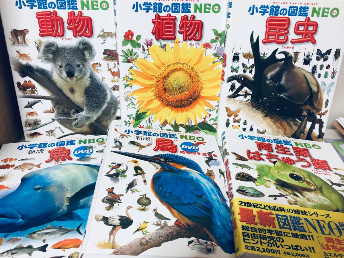 小学館の図鑑NEO 小学館の図鑑NEO 1~18巻 18冊セット|Yahoo 小学館の図鑑NEO 小学館の図鑑NEO 1~18巻 18冊セット|Yahoo