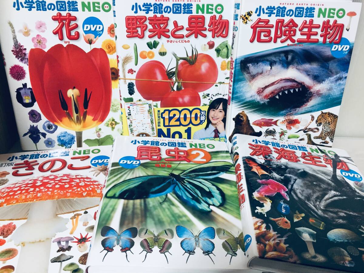 DVD付き 学研の図鑑LIVE 新版・小学館の図鑑NEO 15冊セット DVD付き 学研の図鑑LIVE 新版・小学館の図鑑NEO 15冊セット