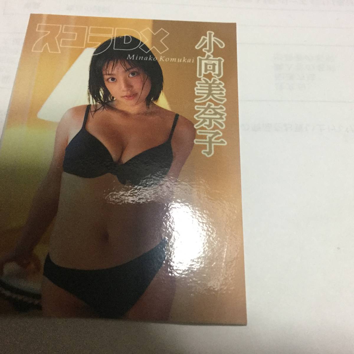 小向美奈子　スコラDX　水着トレーディングカード_画像1