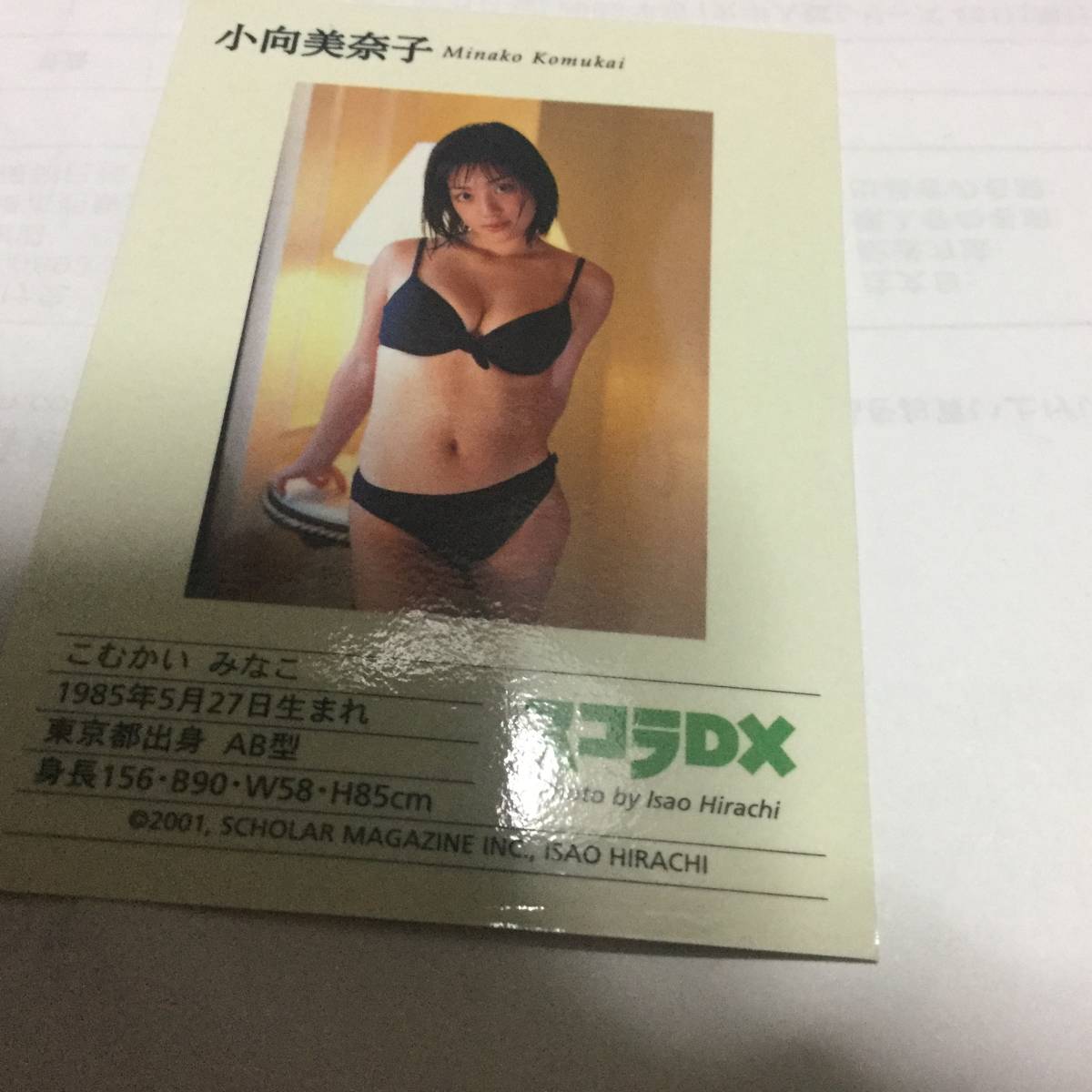 小向美奈子　スコラDX　水着トレーディングカード_画像2