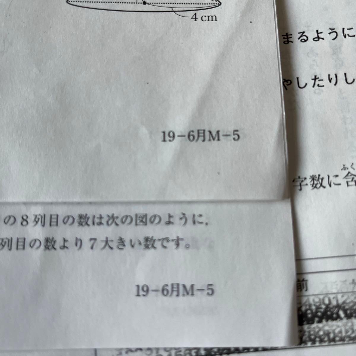 SAPIX サピックス 　5年生　マンスリー 確認テスト　5月　6月度　組み分け　2019 原本