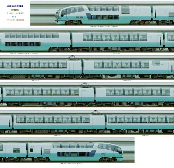 ☆JR251系スーパービュー踊り子（顔料インク使用）10連 【鉄道スリット写真】30mm幅 002-2☆_全体の画像データ