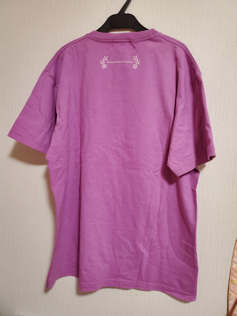 美ら海水族館　Tシャツ 半袖 XLサイズ　チュニック　コットン　_画像3