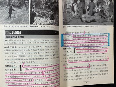 ｃ※※　平成 中学校 教科書　新版 中学社会　地理　平成6年　教育出版　文部省　当時物　/　N85_画像4