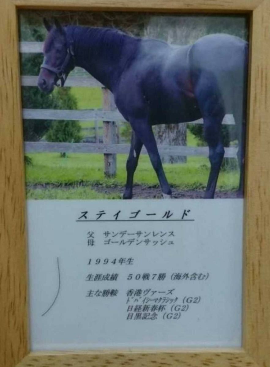 ステイゴールド　一本 たてがみ 非売品　チャリティー ウマ娘 風水 御守り 競馬 当選品　オルフェーヴル　ゴールドシップ　父 _画像1