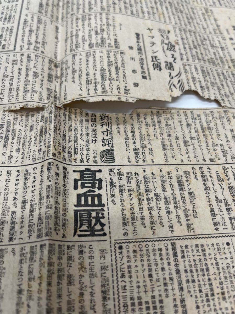 貴重、東京日日新聞昭和13年2月22日ヒットラー総統声明_画像7