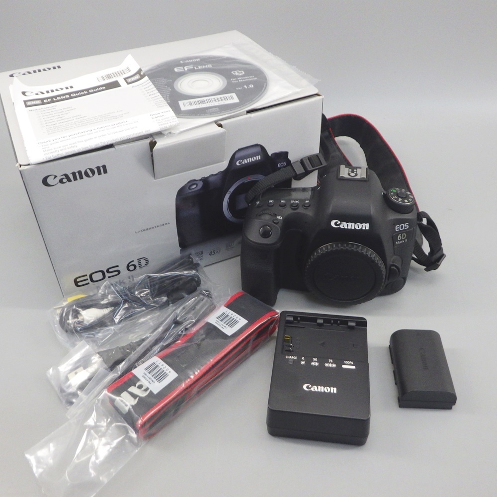 1円〜 Canon キヤノン EOS 6D Mark II ボディ ※通電・シャッター確認済 現状品 箱付き カメラ 250-2682842【O商品】の画像1