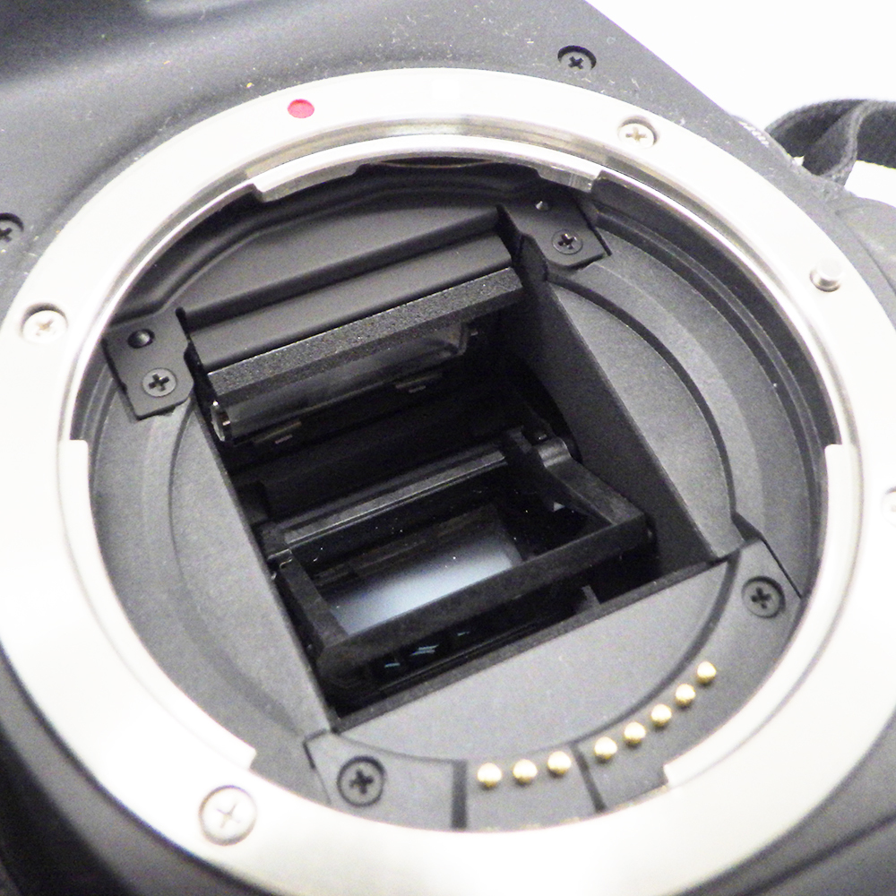 1円〜 Canon キヤノン EOS 90D・EF 50mm F1.8 ※動作未確認 現状品 カメラ 325-2646209【O商品】の画像6
