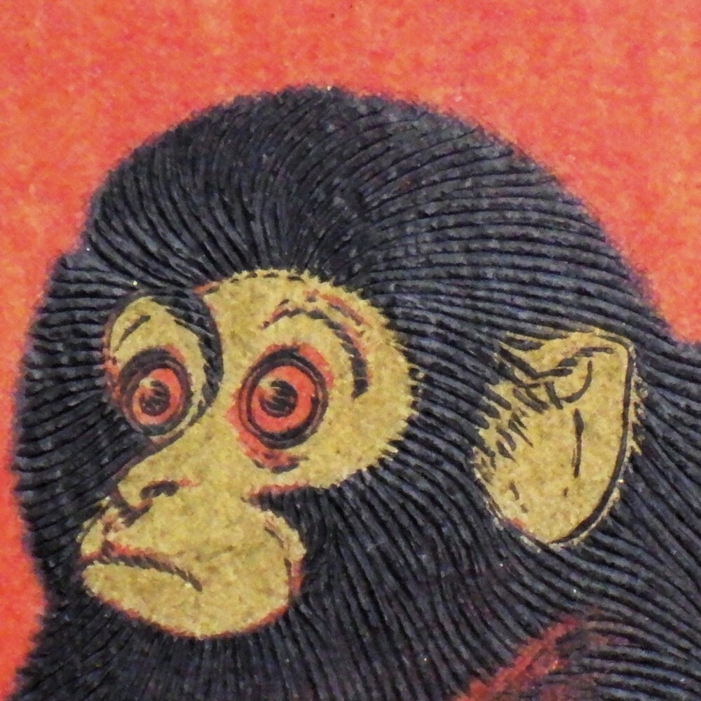 1円〜 中国切手 T46「赤猿/子猿」FDC 初日カバー y295-2654415【Y商品】の画像6