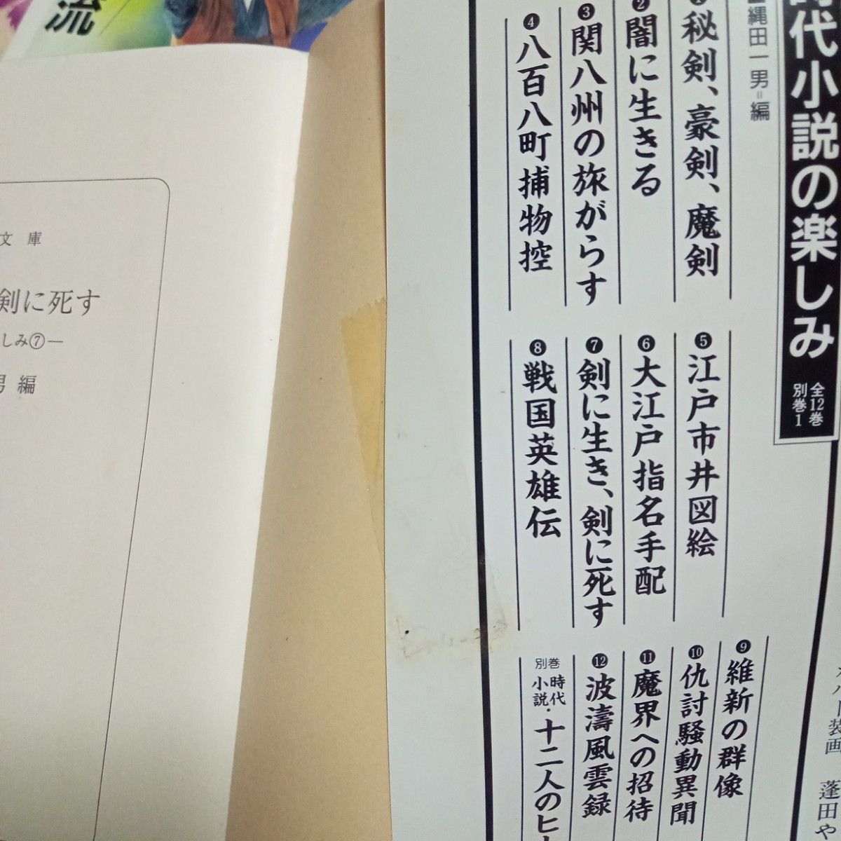 ★最終価格　値下げ　縄田一男　文庫本まとめ売り　剣に生き　剣に死す　文庫本　秘剣　豪剣　魔剣　縄田一男　兵法柳生新陰流　柳生連也斎