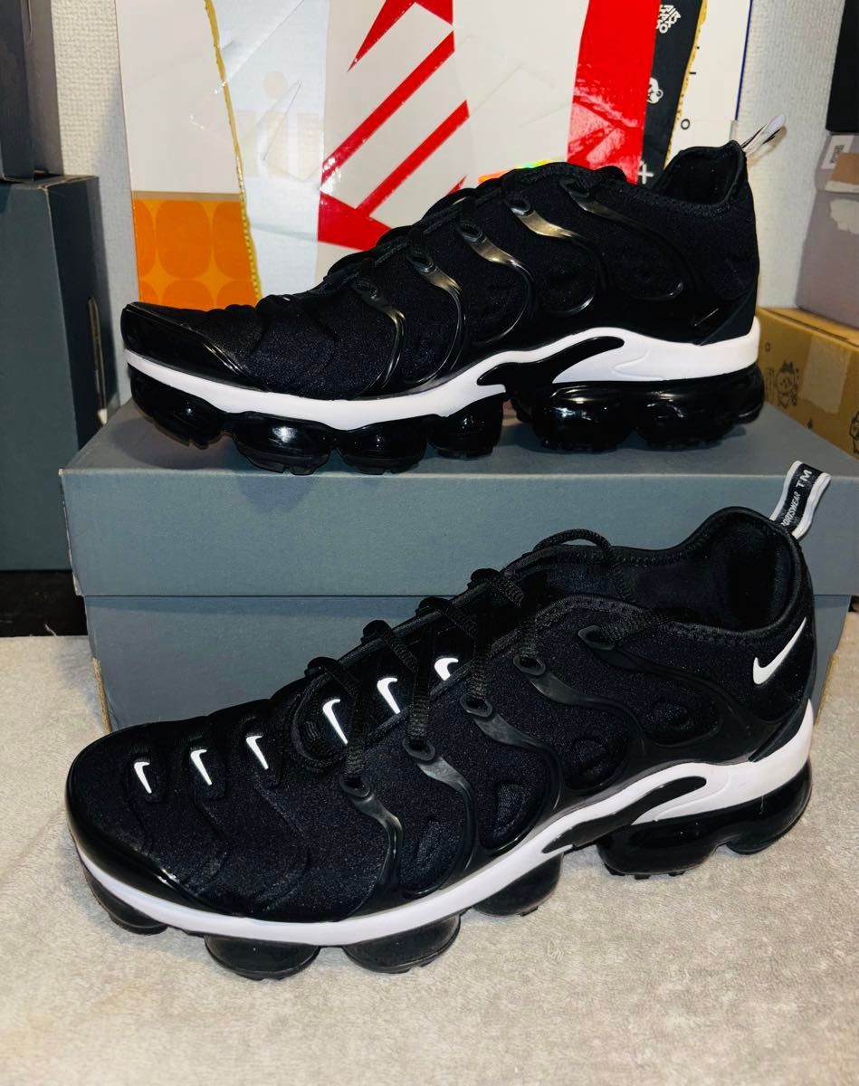 海外限定 NIKE AIR VAPOR MAX PLUS 27.5 bwn04 ナイキ エア ヴェイパー マックス ヴァイパー