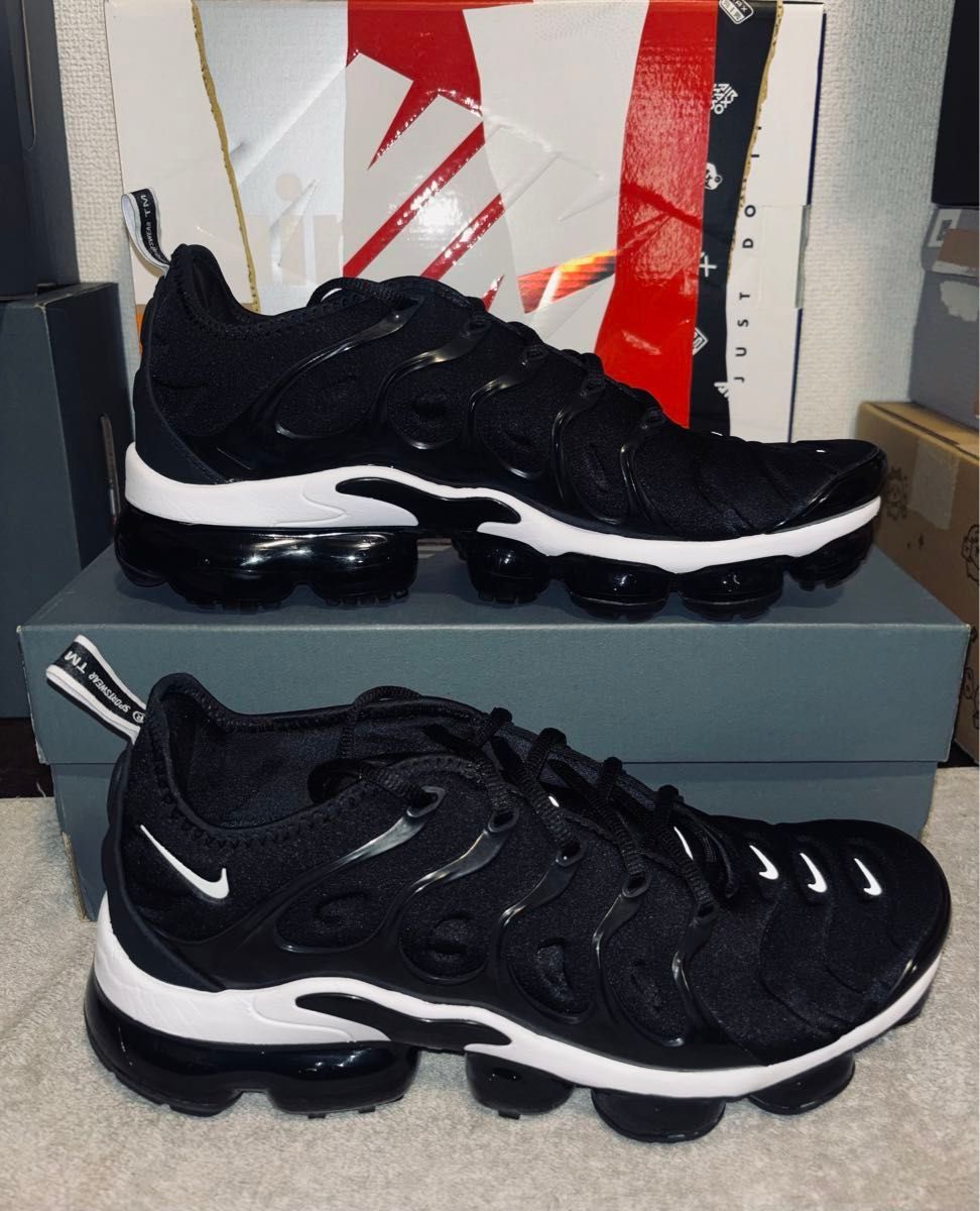 海外限定 NIKE AIR VAPOR MAX PLUS 27.5 bwn04 ナイキ エア ヴェイパー マックス ヴァイパー