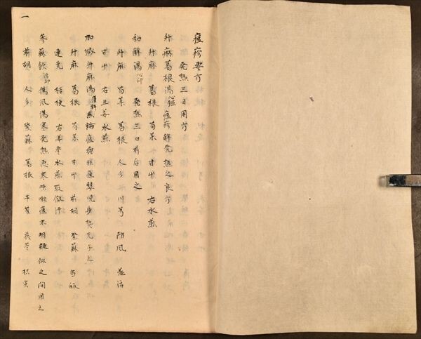 痘疹要方 医学 薬学 医書 写本 21丁 和本 古文書_画像1