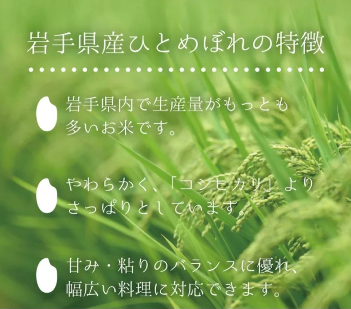 お米　精米【岩手県産ひとめぼれ5kg】リピーター様大好評♪もちもち柔らか♪岩手の代表品種でございます♪