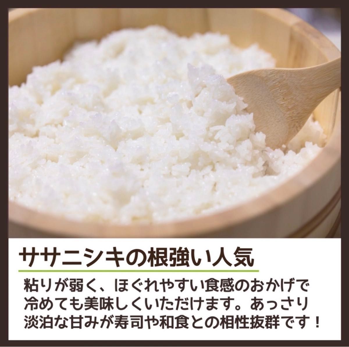 お米　玄米【玄米ササニシキ30kg】中華に最適♪希少なお米♪身体に優しいお米です！お早めにどうぞ！