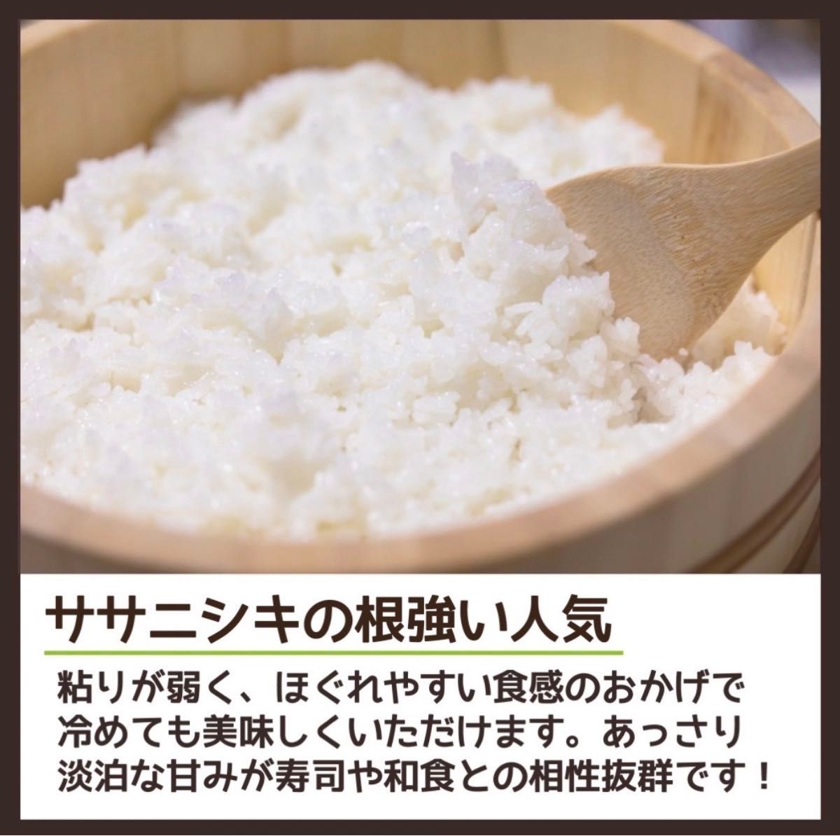 お米　精米【金札米ササニシキ10kg】希少なお米♪身体に優しいお米です！人気商品の為、お早めにお求め下さいませ♪