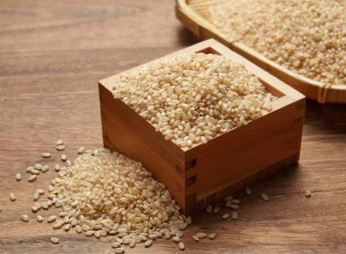 お米　玄米【玄米ササニシキ30kg】中華に最適♪希少なお米♪身体に優しいお米です！お早めにどうぞ！