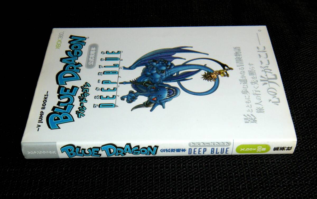 即決　XBOX360攻略本　初版　ブルードラゴン BLUE DRAGON DEEP BLUE マスターズブック_画像3