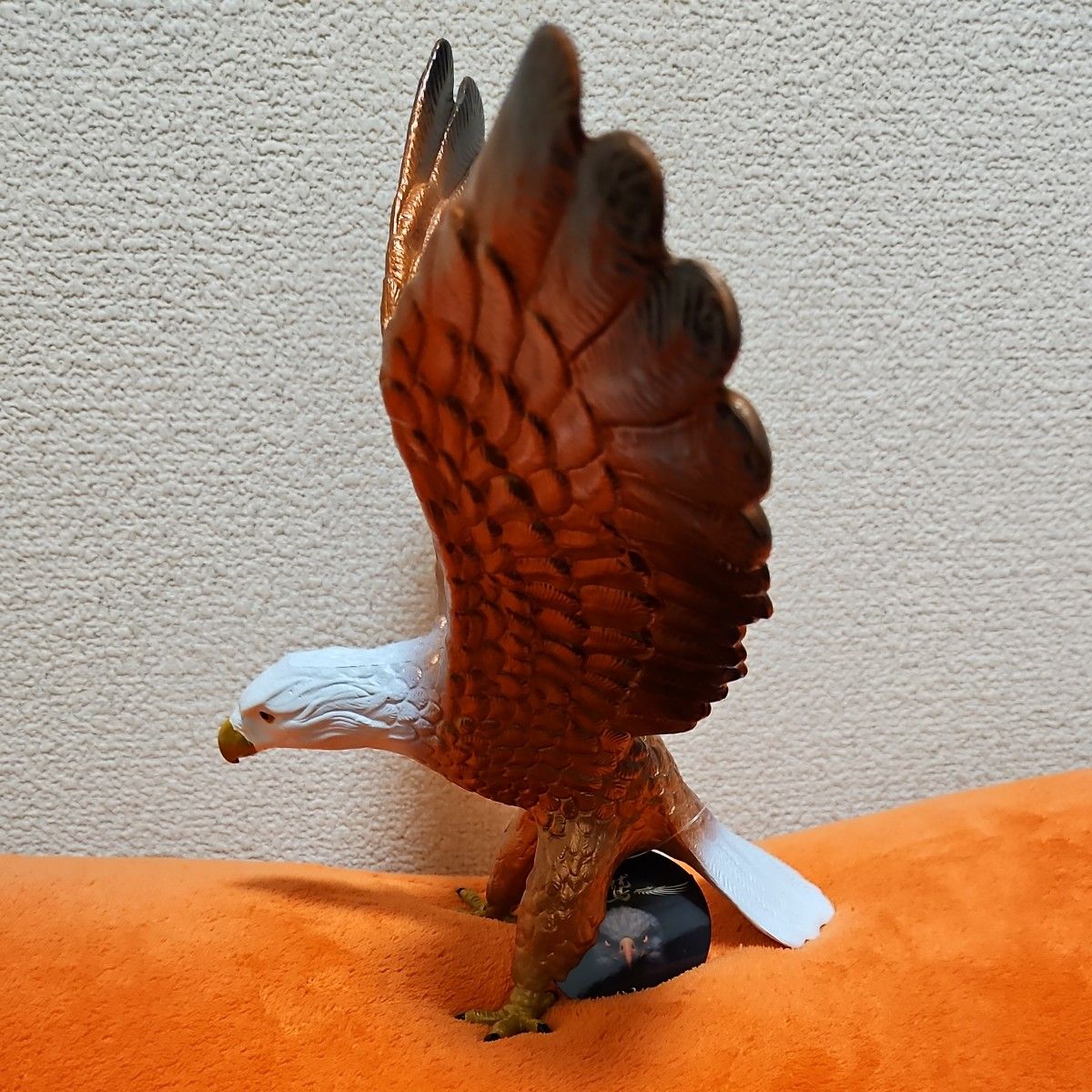 鷲 BIGフィギュア わし ワシ eagle bird