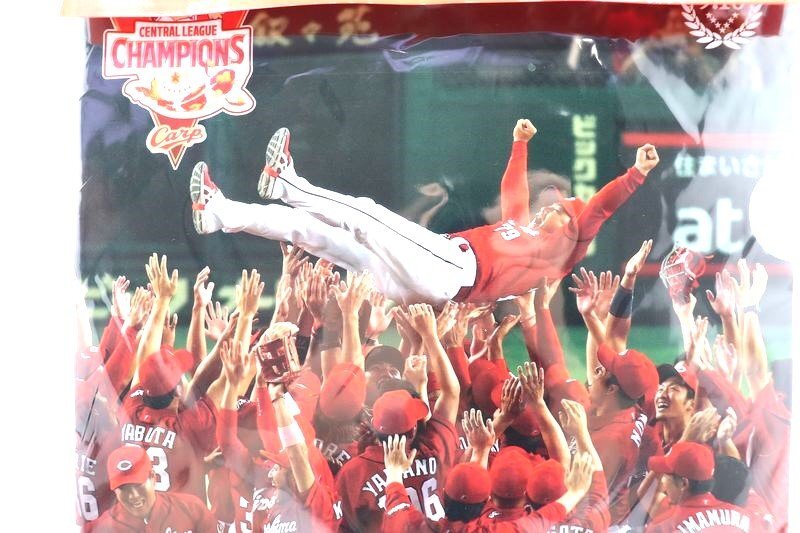 【未使用】CARP　カープ　クリアファイルセット(2枚入り)＆V7記念　2016年　優勝　文具/大漁/かかって鯉　広島東洋カープ_画像7