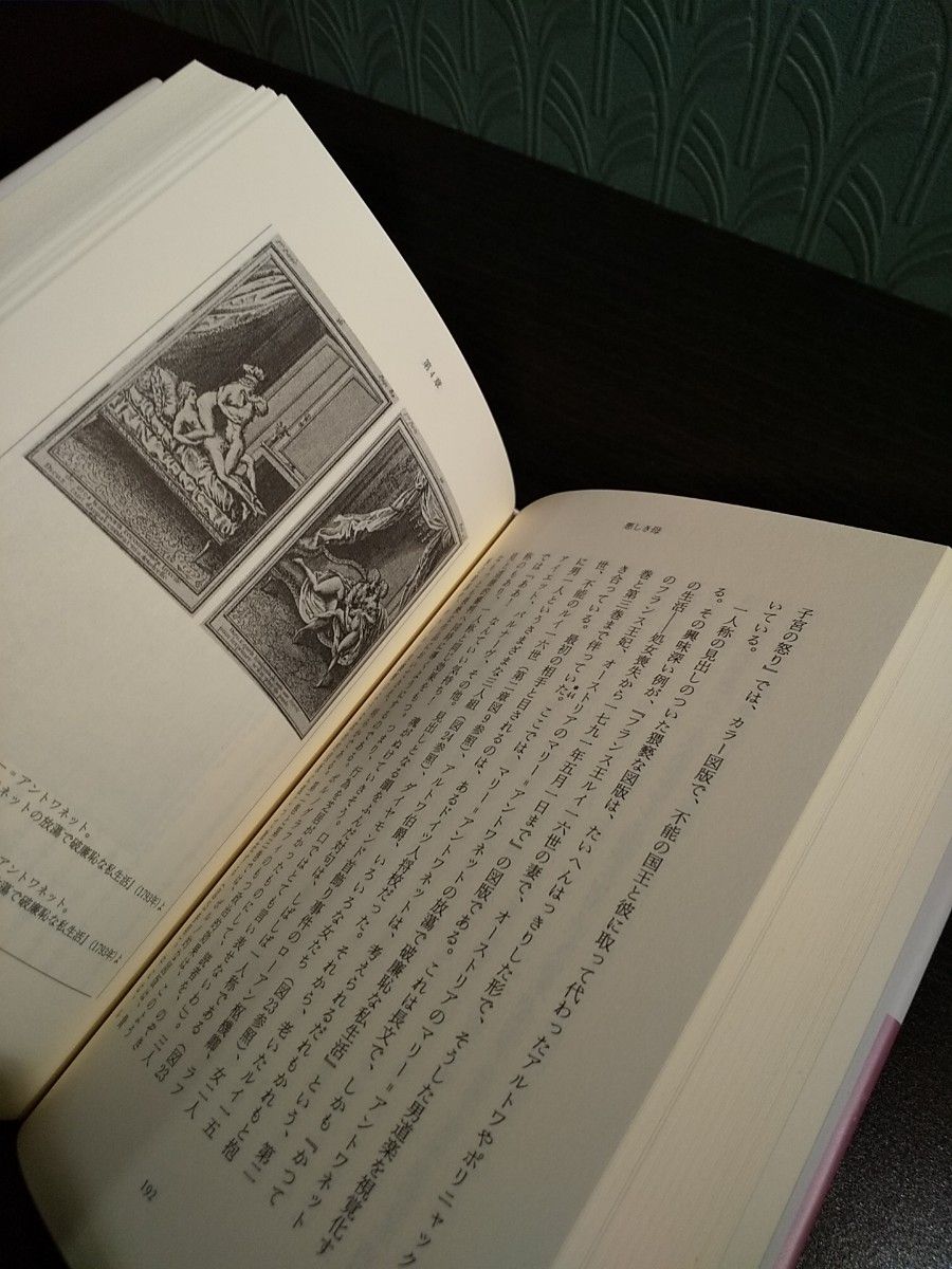 フランス革命と家族ロマンス （テオリア叢書） リン・ハント／著　西川長夫／訳　平野千果子／訳　天野知恵子／訳