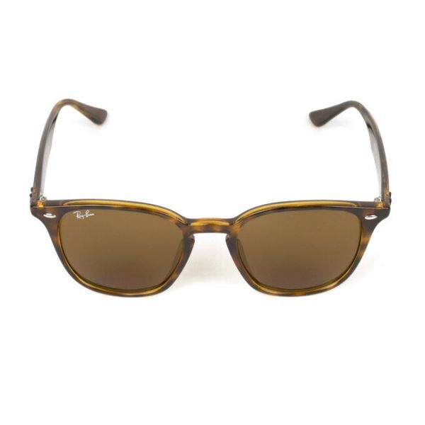 1円スタート Ray-Ban RB4258 710 73 52 サングラス ローブリッジ フィット/BROWN/GUNMETAL/RUBBER HAVANA/レギュラー/ソフト/ドライブ/海_画像2