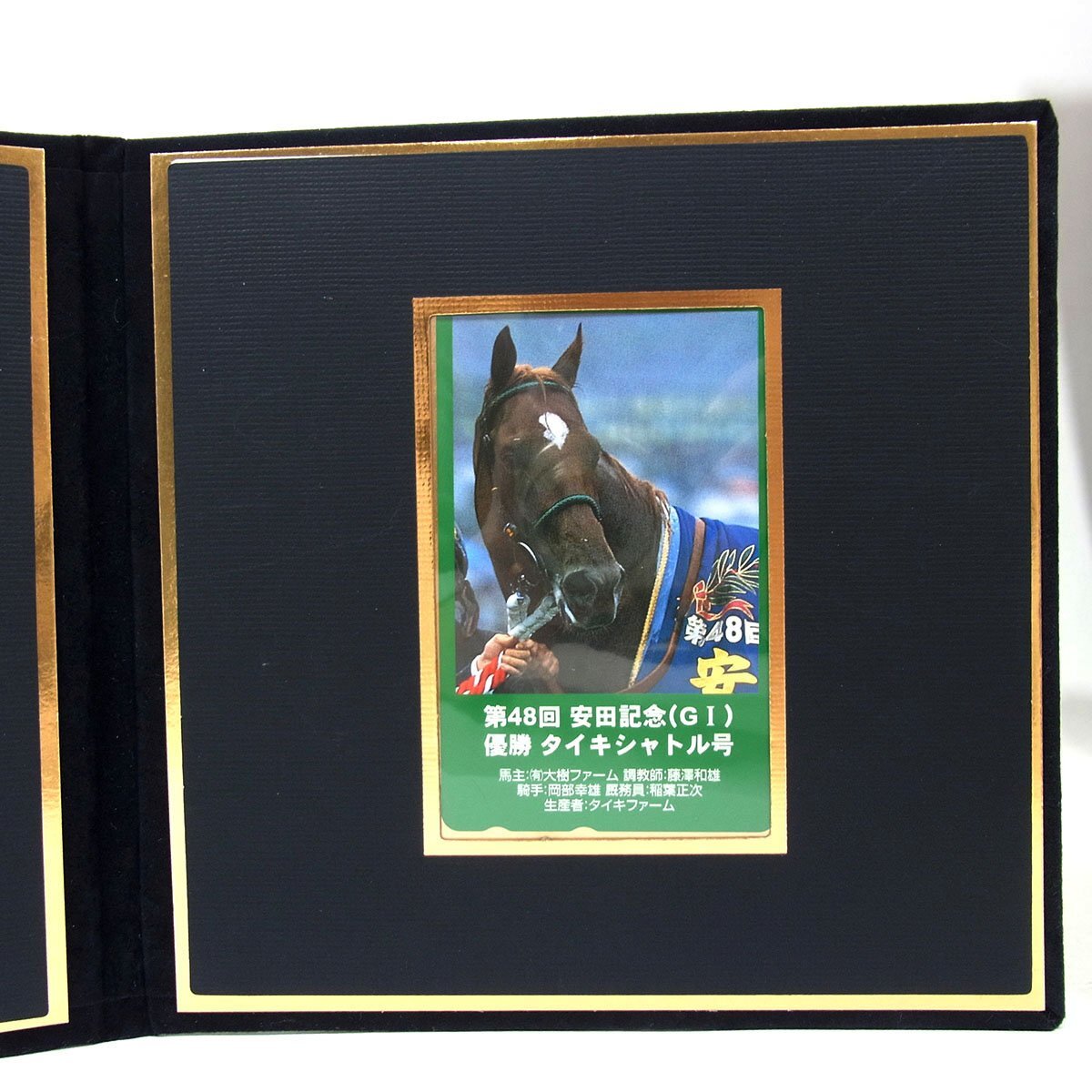 未使用 タイキシャトル テレホンカード 50度2枚 安田記念 GⅠ競馬 記念品 付属品 ◆_画像3