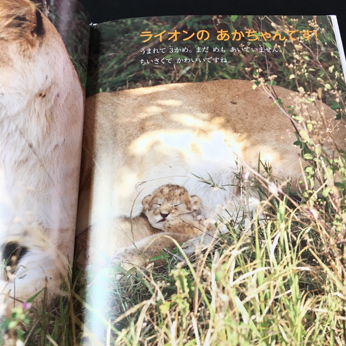 item_image_2