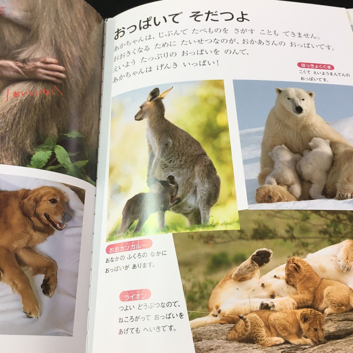 item_image_3