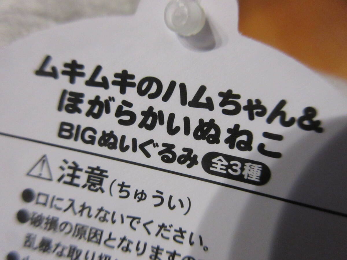 ◆ムキムキのハムちゃん＆ほがらかいぬ ねこ BIG ぬいぐるみ 選択可 セット可 犬 猫 動物 ラウンドワン限定◆新品未使用 タグ付き_画像3