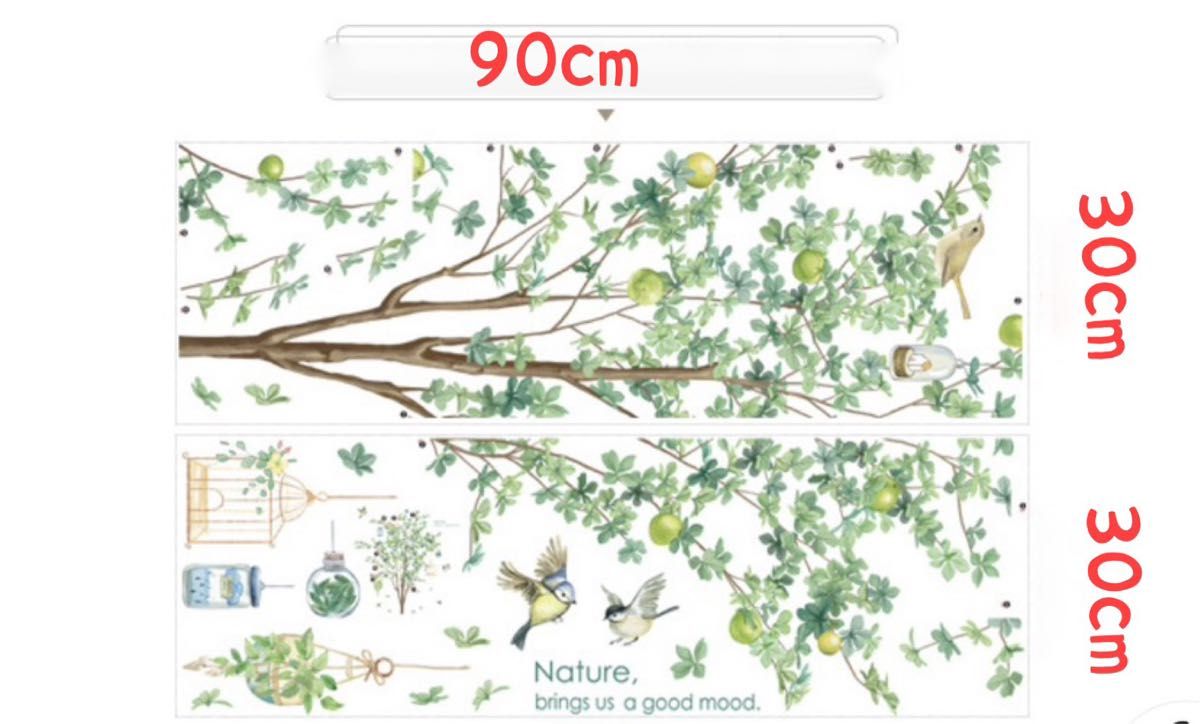 ウォールステッカー 模様替え グリーン 鳥 木 壁 植物 自然 欧風 インテリア 壁紙