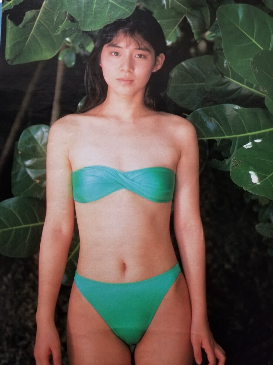 Yahoo!オークション - 石田ゆり子 切り抜き6ページ Yahoo!オークション - 石田ゆり子 切り抜き6ページ