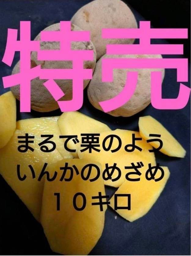 いんかのめざめ　10キロです