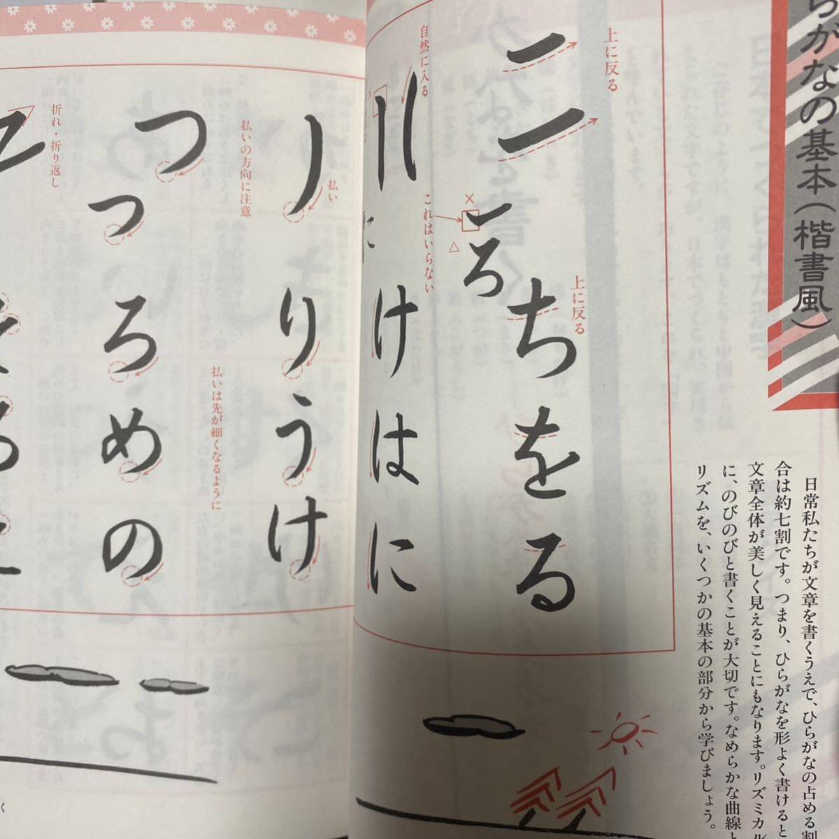 きれいに見せる小筆字の書き方　基礎を学び美しい文字で気持ちを伝える 園田　愛山　監