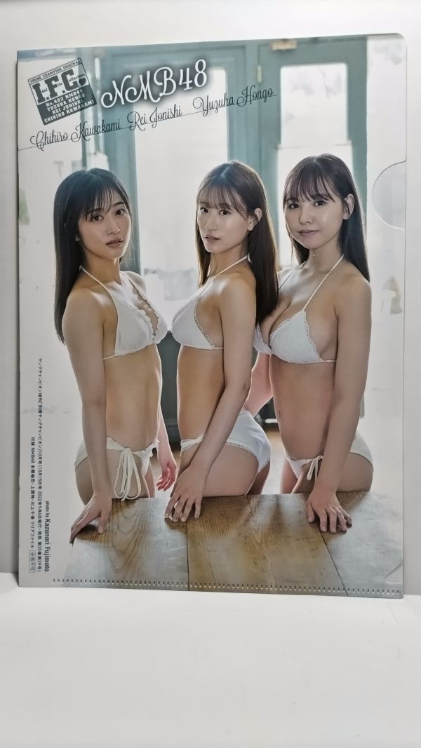 33 NMB48ps.@...* on west .* river on thousand . unused clear file both sides clear file not for sale 