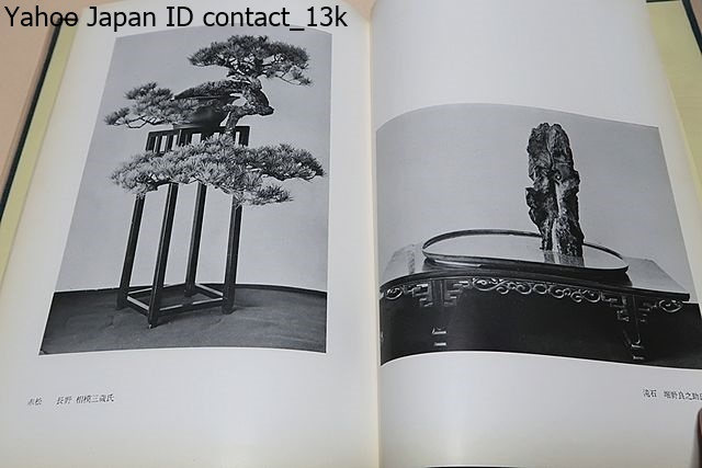 . road suiseki st .* former times ... suiseki st bonsai exhibition / Japan bonsai collection .. bonsai magazine. .. according to former times heaven . less .. name stone . love warehouse make person .. exhibition ... public exhibition . did 