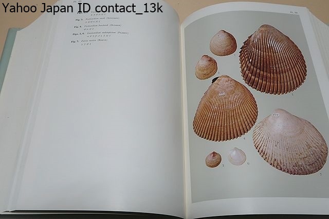 相模湾産貝類/この報告書は陛下の御採集になった貝類の全種類を 相模湾産貝類/この報告書は陛下の御採集になった貝類の全種類を