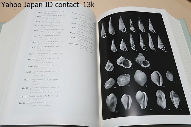 相模湾産貝類/この報告書は陛下の御採集になった貝類の全種類を105原色図版と16写真図版に収め1232頁の和英文の解説をつけたものである - 生物学 相模湾産貝類/この報告書は陛下の御採集になった貝類の全種類を105原色図版と16写真図版に収め1232頁の和英文の解説をつけたものである - 生物学