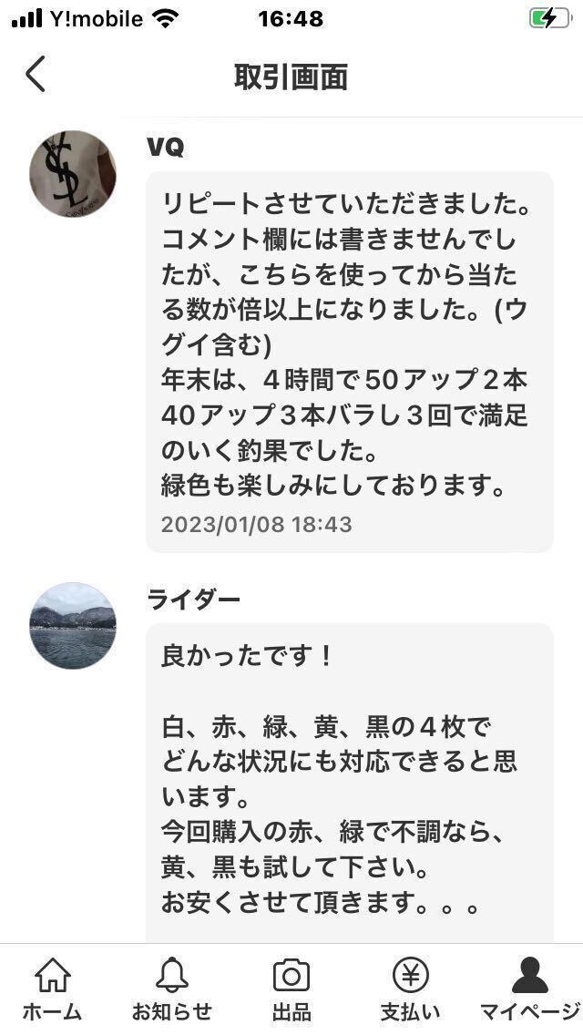 シェルスプーン ドジャー ビワマス ヒメマス レイクトローリング 59mm.45mm.48mm 3枚セット！ ビワマス ヒメマス サクラマス 桧原湖 琵琶湖_画像9