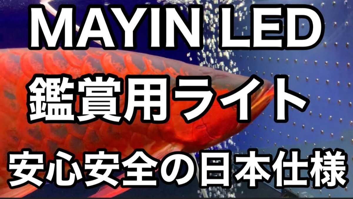 最近注文増えてます　1200水槽用(112㌢)　安心安全の日本仕様　MAYIN LED 観賞用ライト　マイン　マインライト　100V アロワナ　金魚_画像1