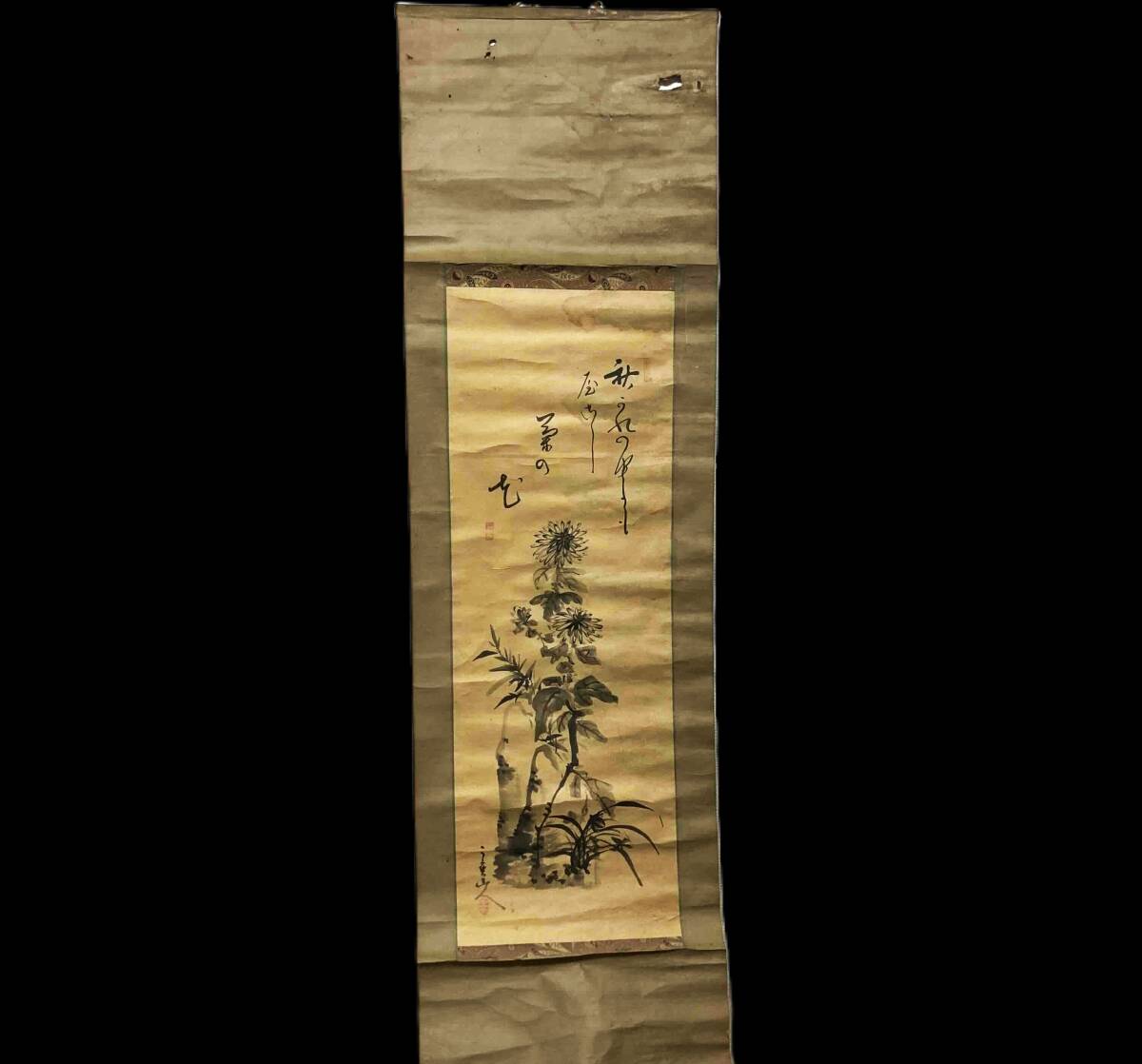 [ copy ] hanging scroll China . chrysanthemum map water ink picture .. axis 