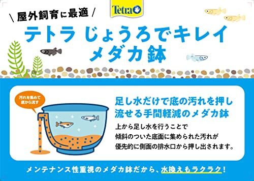 テトラ (Tetra) テトラ じょうろでキレイメダカ鉢 40 専用フタ 錆びない いたずら防止 鉢を守る 睡蓮鉢 金魚鉢 割れに_画像4