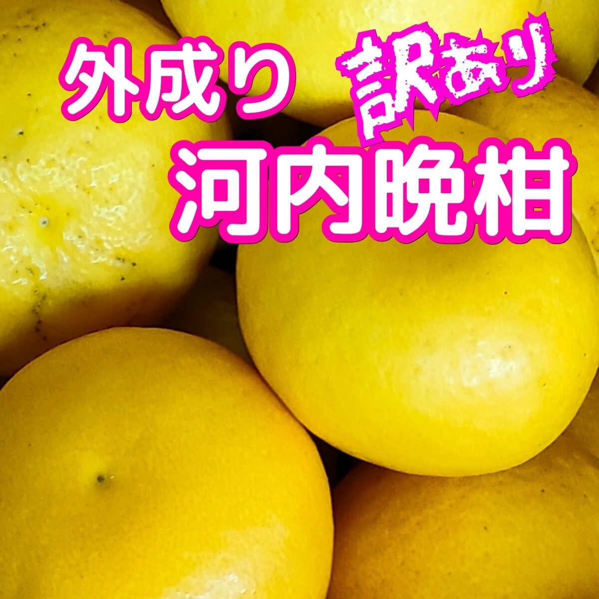 外成り河内晩柑　10キロ　訳あり家庭用　サイズ不揃い不選別　　北海道東北沖縄のお客様は発送不可_画像1